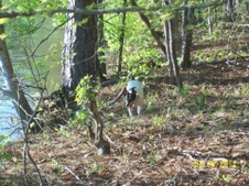 Enlarge photo 18