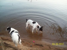 Enlarge photo 10