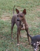 Enlarge photo 24