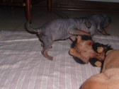 Enlarge photo 5