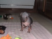 Enlarge photo 13