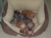 Enlarge photo 8
