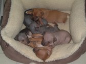 Enlarge photo 7