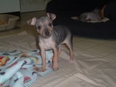 Keegan / Murray AHT Litter 10/13/09