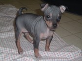 October/Justice AHT Litter 9/25/09