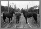 Horses and humans
