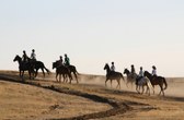 Out for a ride