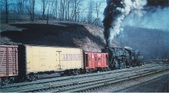 Enlarge photo 185