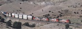 Enlarge photo 263