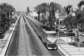 Enlarge photo 107