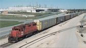 Enlarge photo 175
