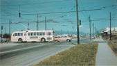 Enlarge photo 694