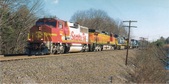 Enlarge photo 759