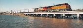 Enlarge photo 763