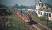 Enlarge photo 343