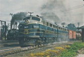 Enlarge photo 370