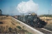 Enlarge photo 425