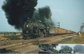 Enlarge photo 492