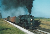 Enlarge photo 495