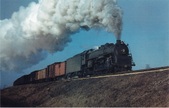 Enlarge photo 498