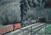 Enlarge photo 518