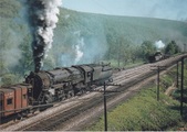 Enlarge photo 523