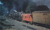 Enlarge photo 525