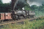 Enlarge photo 527