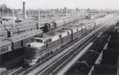 Enlarge photo 532