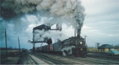 Enlarge photo 546