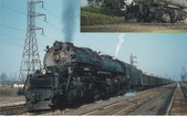 Enlarge photo 563