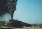 Enlarge photo 585
