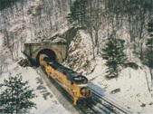 Enlarge photo 588
