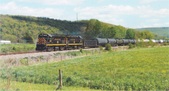 Enlarge photo 613