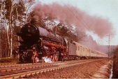 Enlarge photo 1009