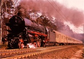 Enlarge photo 1100