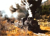 Enlarge photo 1129