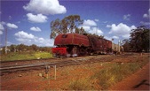 Enlarge photo 1169