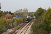 Enlarge photo 1186