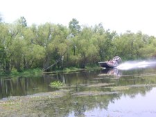 Enlarge photo 76