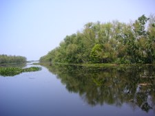 Enlarge photo 77