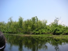Enlarge photo 78