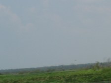 Enlarge photo 80