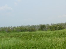 Enlarge photo 85