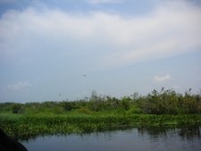 Enlarge photo 86