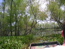 Enlarge photo 87