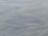 Enlarge photo 69