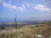 Enlarge photo 139