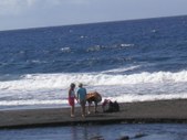 Enlarge photo 165
