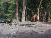 Enlarge photo 166